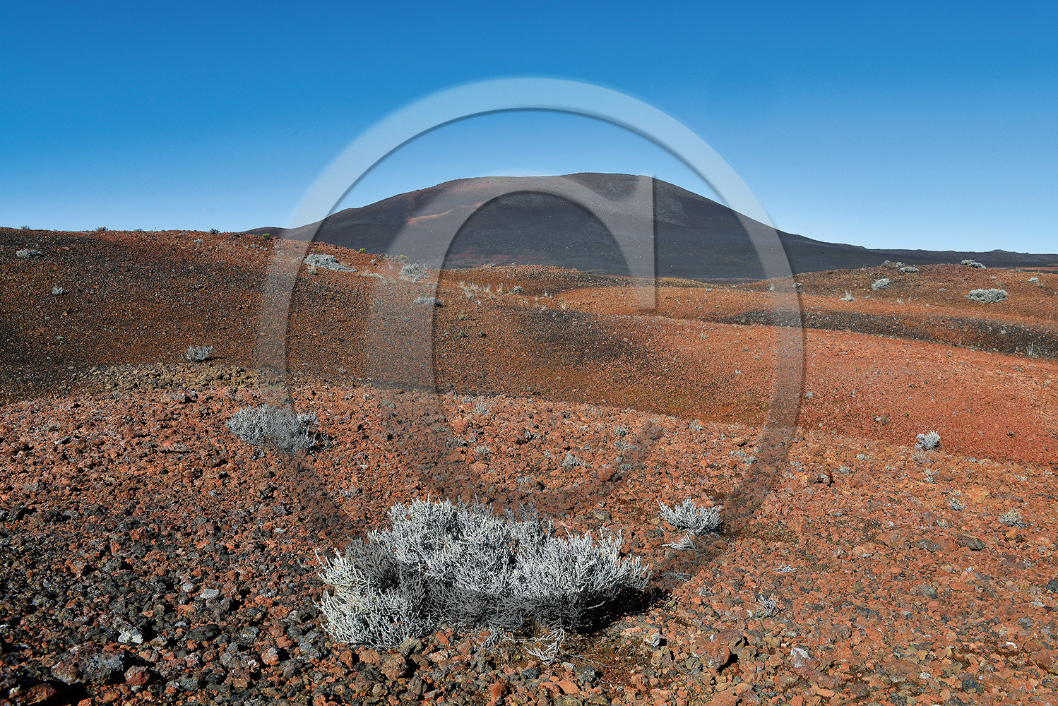 gelvolcan-20.jpg
