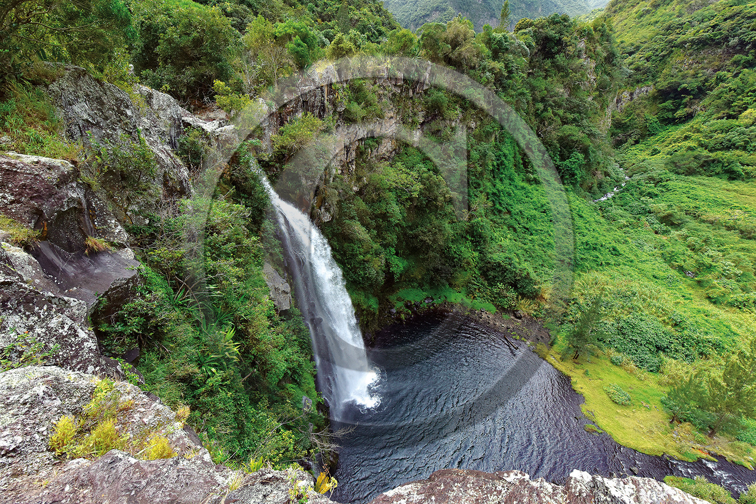 cascade-8.jpg